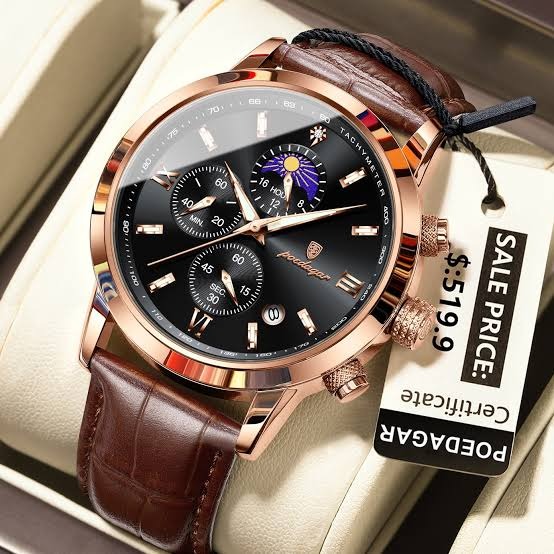Poedagar Chronograph Luxury Watch